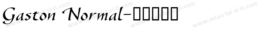 Gaston Normal字体转换